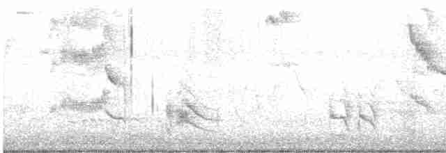 Gray Catbird - ML618322552
