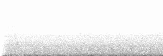 Black-throated Gray Warbler - ML618322941