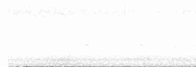 lesňáček modrokřídlý - ML618323521