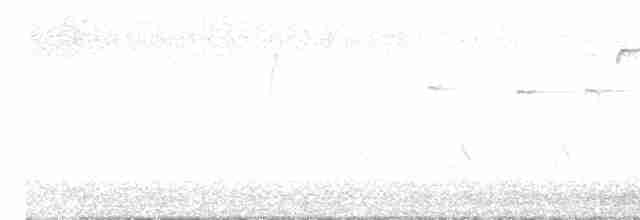lesňáček modrokřídlý - ML618323549