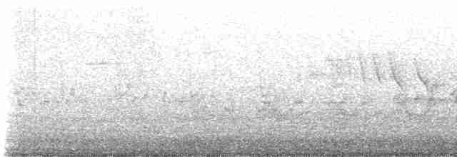 Amilotx urdina - ML618325286