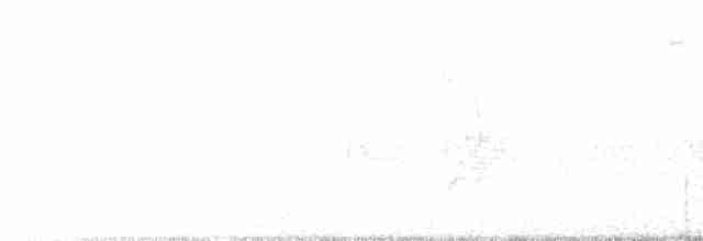 Büyük Kiskadi Tiranı - ML618325291