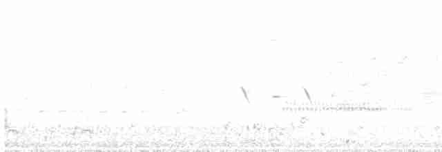 Cisne Trompetero - ML618325717