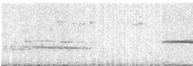 Turuncu Ardıç - ML618327960