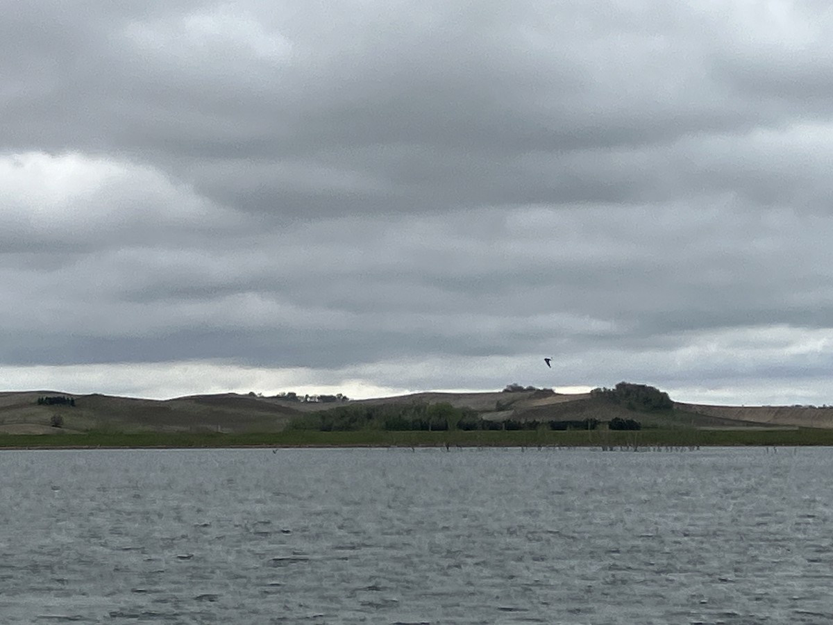 eBird Checklist 2 May 2024 Kramper Lake 34 species