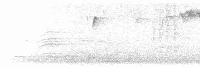 Дрізд-короткодзьоб плямистоволий - ML618329135