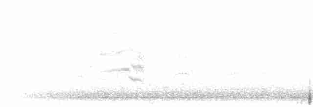 Common Tern - ML618329347
