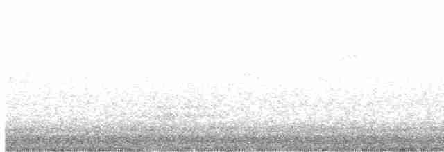 Ring-necked Pheasant - ML618329813