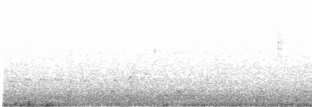 Ring-necked Pheasant - ML618329814