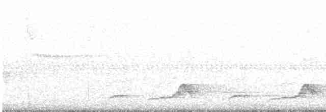 Schwarzkehl-Nachtschwalbe - ML618330673
