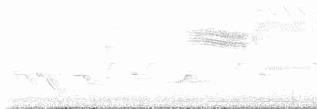 Желтокрылая x Голубокрылая червеедка (гибрид) - ML618331710
