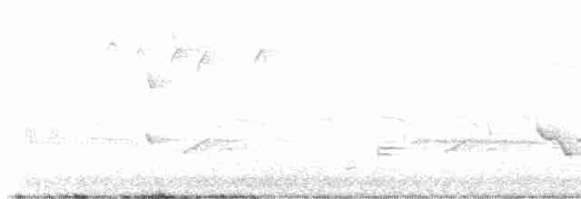 Желтокрылая x Голубокрылая червеедка (гибрид) - ML618331726