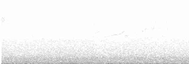 Тихоокеанский крапивник - ML618334945