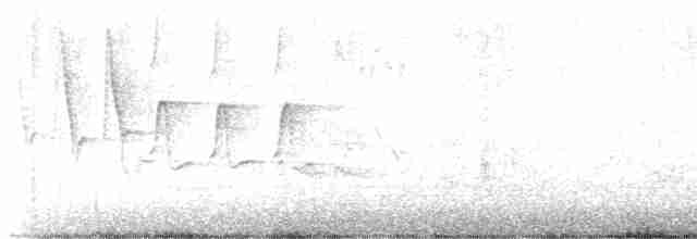 Червоїд сіроголовий - ML618334952