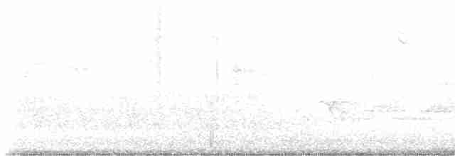 lesňáček černobílý - ML618336170