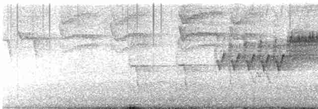 Cerulean Warbler - ML618337877