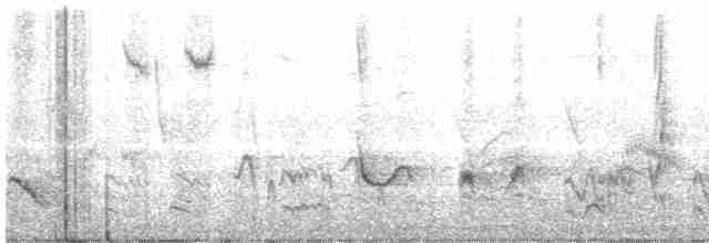 Длинноклювый пересмешник - ML618339752