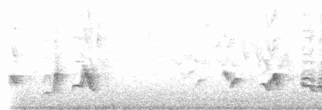 Черноголовый толстонос - ML618340662