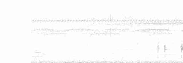 Great Reed Warbler - ML618341322