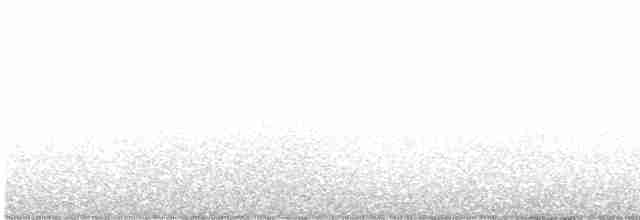 Paruline à joues grises - ML618341609