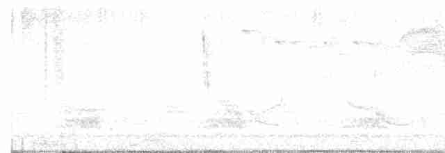 Тростниковый крапивник - ML618341633
