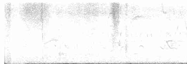 Common Yellowthroat - ML618342111
