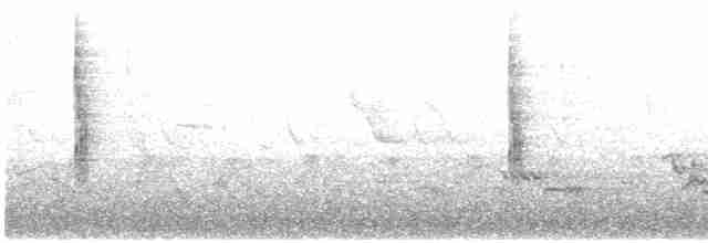Common Yellowthroat - ML618342246