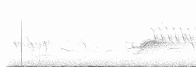 Шишкар ялиновий - ML618342509