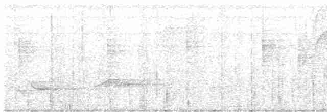 Graubrust-Ameisendrossel - ML618342866