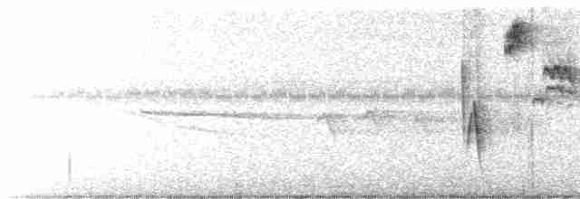 Turuncu Gagalı Bülbül Ardıcı - ML618342871