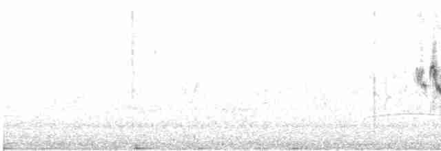 Black-throated Gray Warbler - ML618342883