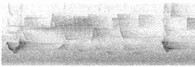 Чернокрылая пиранга - ML618343022