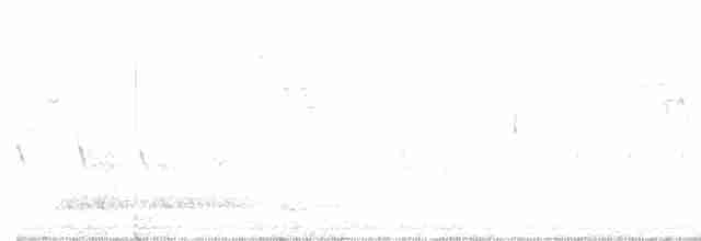 Шишкар ялиновий - ML618343348