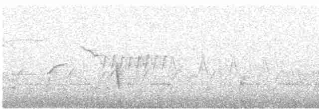 Красная пиранга [группа hepatica] - ML618343349