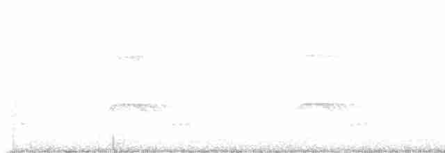 Орел-чубань рудошиїй - ML618343737