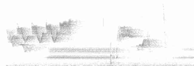 Cerulean Warbler - ML618343939