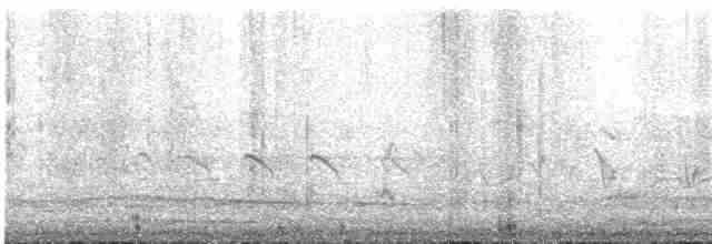 Clamorous Reed Warbler - ML618344050