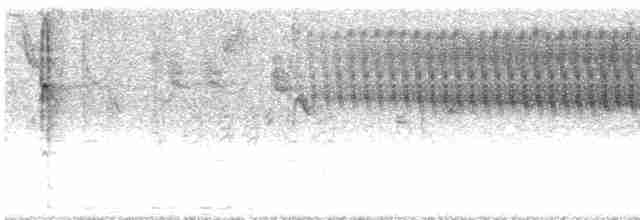 Певун-червеед - ML618344102