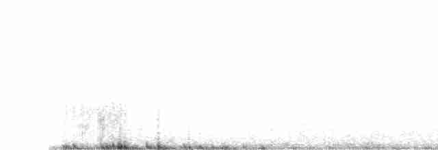 Белогорлая зонотрихия - ML618344818