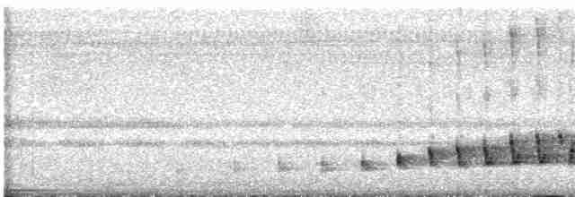 Braunhals-Nachtschwalbe - ML618347001
