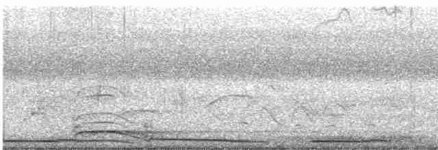 Белокрылая горлица - ML618347444