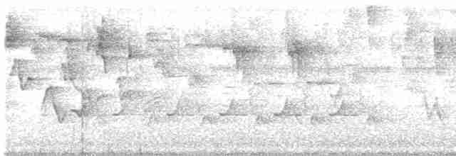Cerulean Warbler - ML618349319