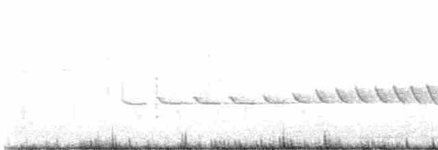 Карнатка польова - ML618350211