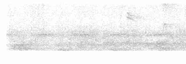 strakapoud osikový (ssp. pubescens/medianus) - ML618350225