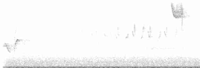 strnadec bělohrdlý - ML618350666