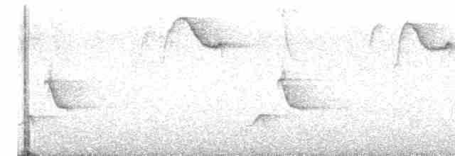 Troglodyte à poitrine grise - ML618351177