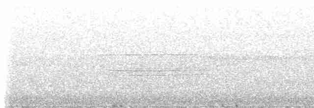 Turuncu Ardıç - ML618351599