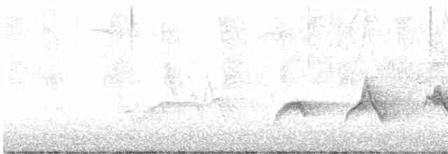 Чернокрылая пиранга - ML618351699