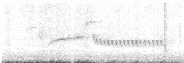 Длиннохвостый крапивник - ML618352549