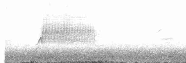 Fleckengrundammer - ML618353652